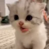 mya emote