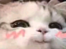 smirky emote
