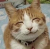 x3 emote