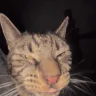 tuh emote
