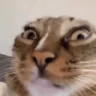 nuh emote