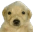 Jotchua