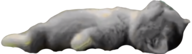 muelto