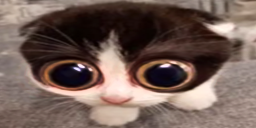 MONKA Twitch emote
