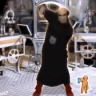 smurfing emote