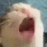 AAAA emote