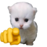 youpert emote