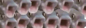 chooooir emote