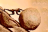 unsisyphus