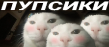 PUPSIKI emote