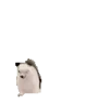 minibestaPls emote