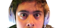 yodaMonka emote