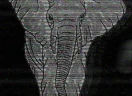 slon emote