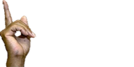 hesRightt00 emote