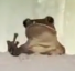 frog