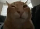 WAYTOOBUH emote