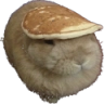 tortita emote