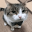 Emote