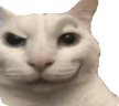 susCat emote