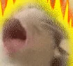 POWERUP emote