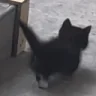 GoodBye emote
