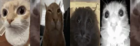 uuhmbuhtuhcuhm emote