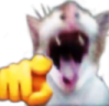GAGAGA emote