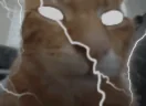 buhNOW emote