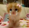 bubu emote