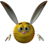 Bunny emote