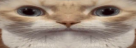 uuhuu emote