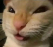 Nyehehehe emote