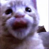 erm emote