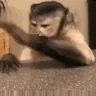 SamySmash emote