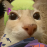 gekko emote