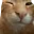 buhbye
