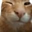 buhbye