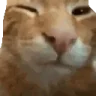 buhbye emote