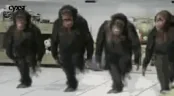 TEAM emote