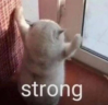 strong emote