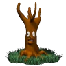 PENEK emote
