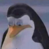 sadpingwin emote