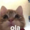 ola emote