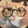 nerd emote