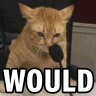 WOULD emote
