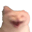 XXD