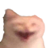 xD emote