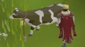 MILKING emote