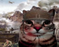 $wojna emote