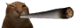 buhlunt